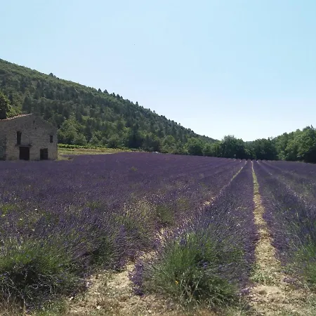 Holiday home Maisonnette Le Cabanon *
